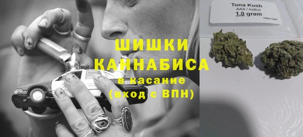 метадон Гусь-Хрустальный