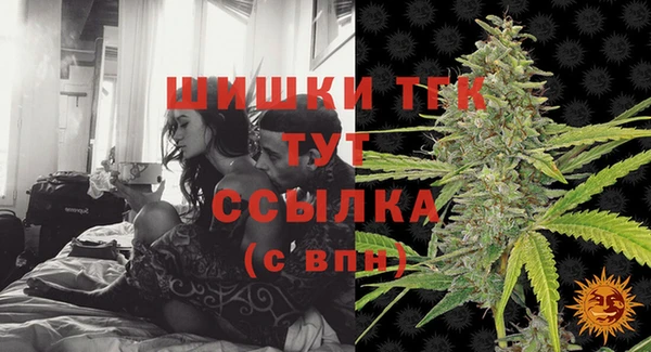 дурь Гусев