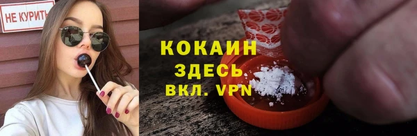 дурь Гусев