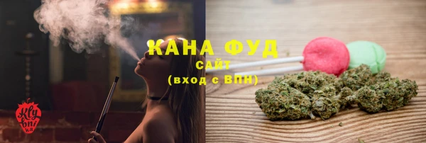 дурь Гусев