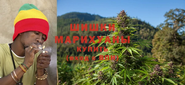 дурь Гусев