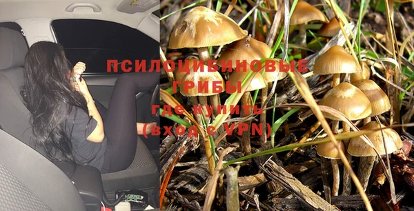 метадон Гусь-Хрустальный
